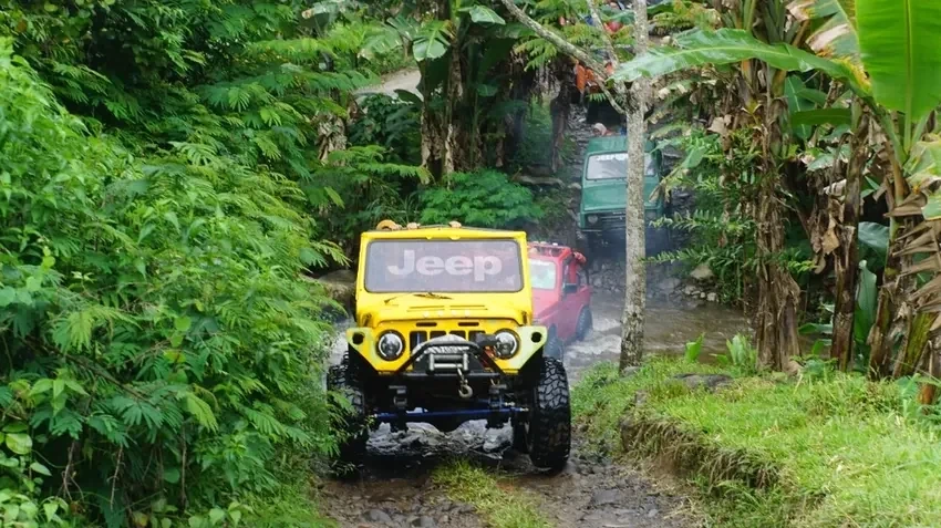 Trabas Offroad Hutan Pinus